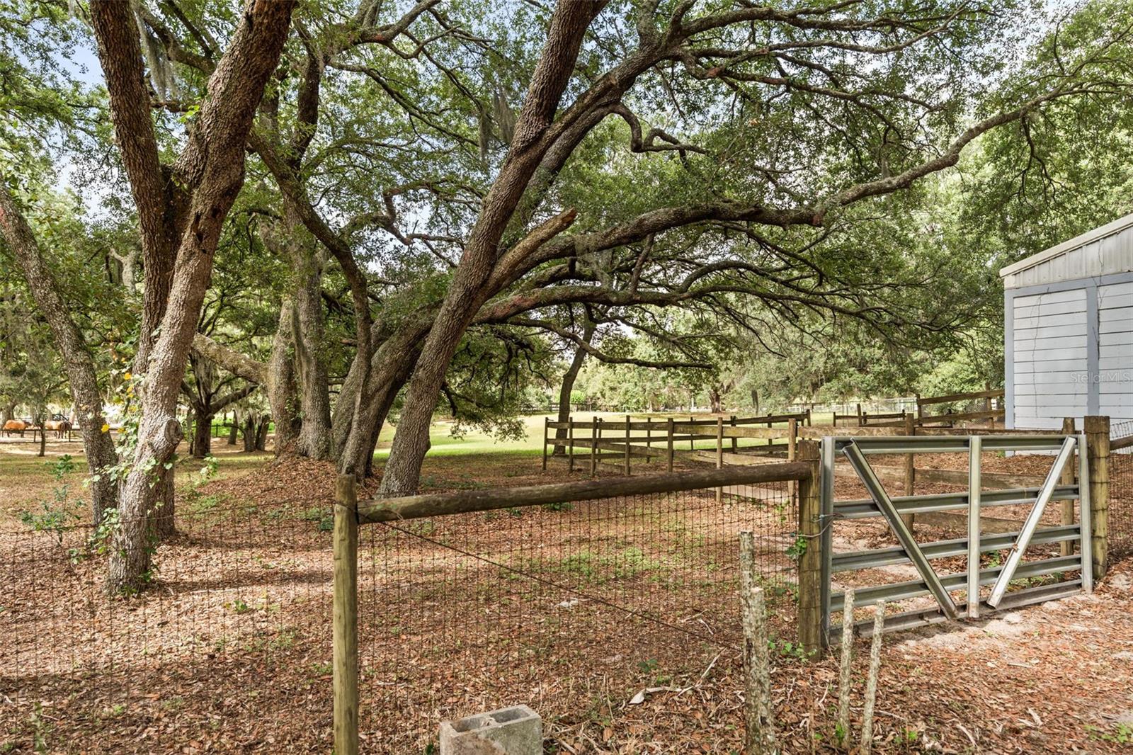 LAKE AVALON GROVES REP - Residential