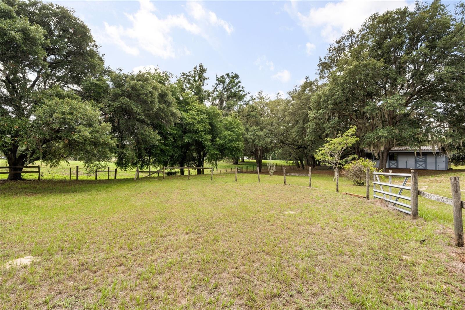 LAKE AVALON GROVES REP - Residential