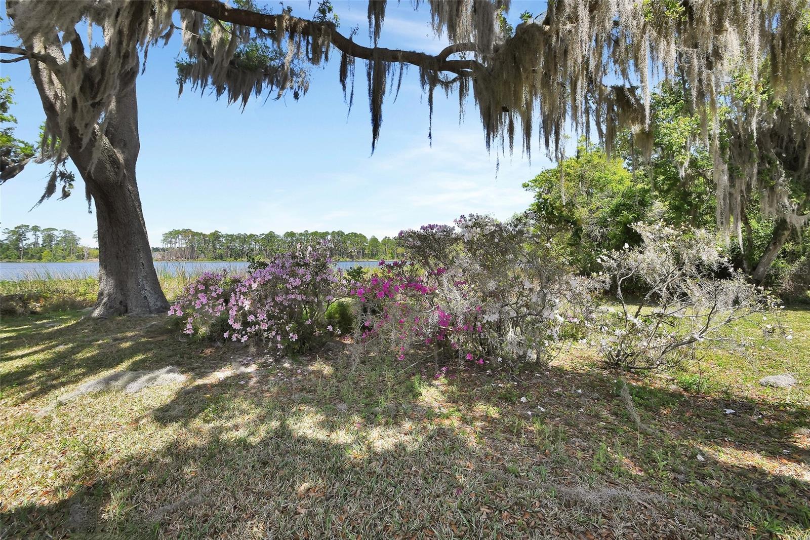 LAKE DIAS - Residential