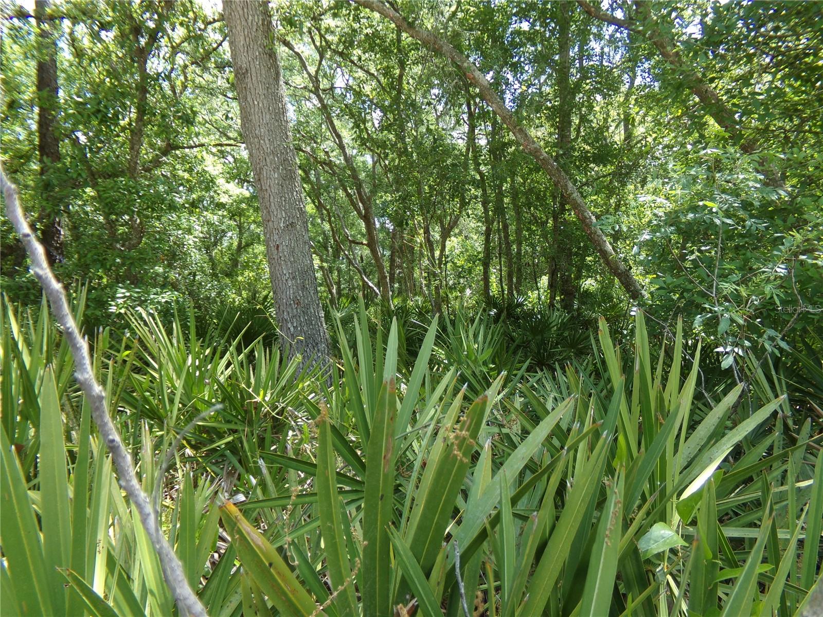 RIDGE MANOR ESTATE - Land