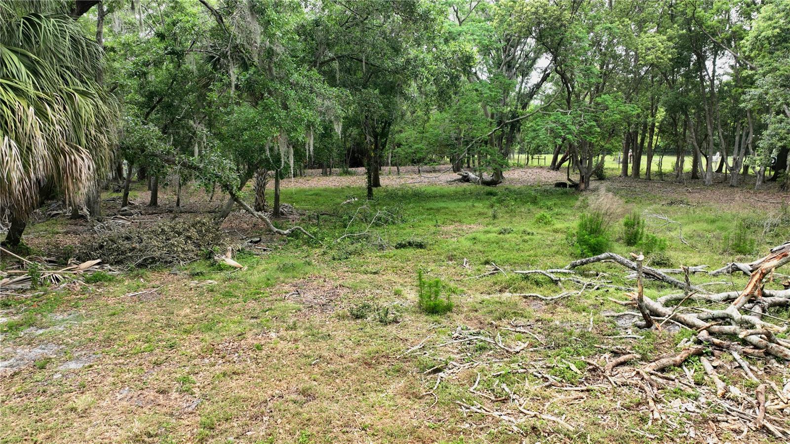 LEE COMM GROVES - Land