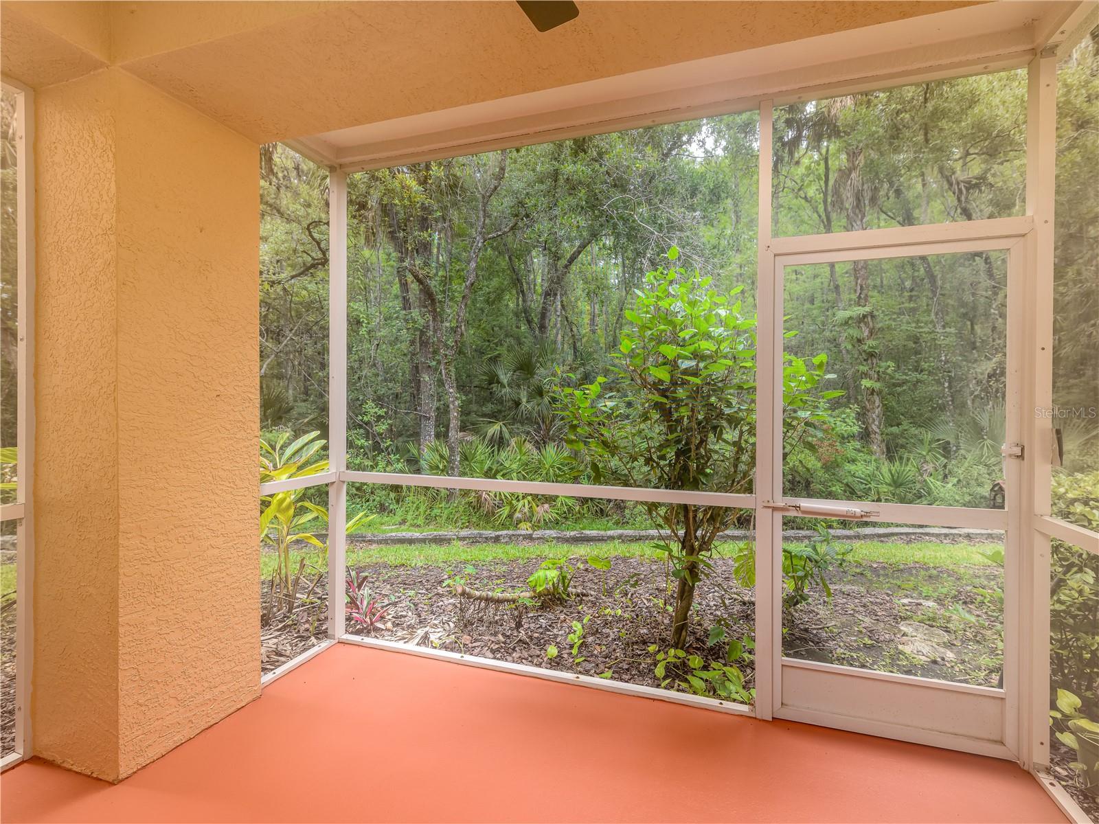 OXFORD PLACE AT TAMPA PALMS A - Residential