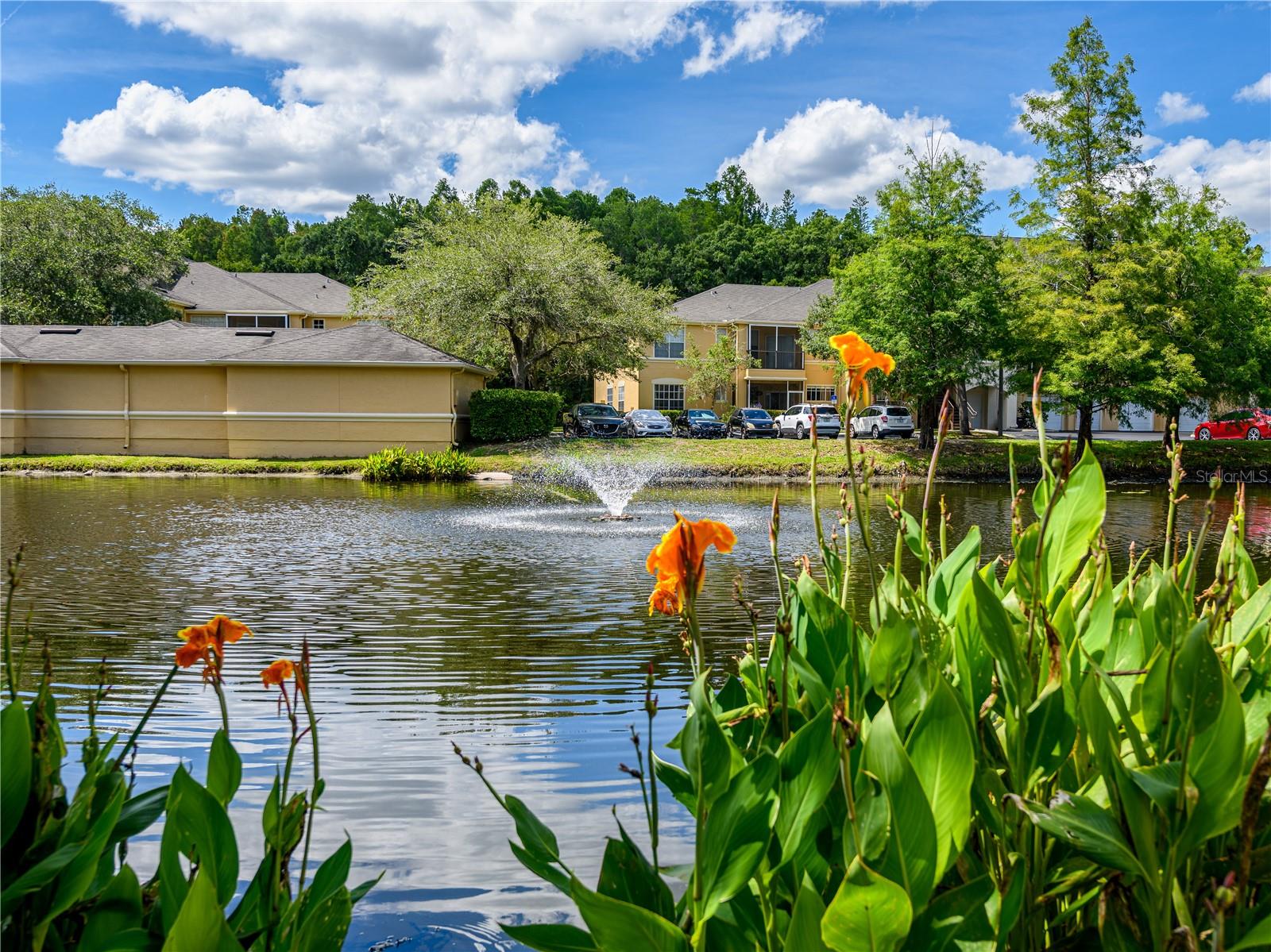 OXFORD PLACE AT TAMPA PALMS A - Residential