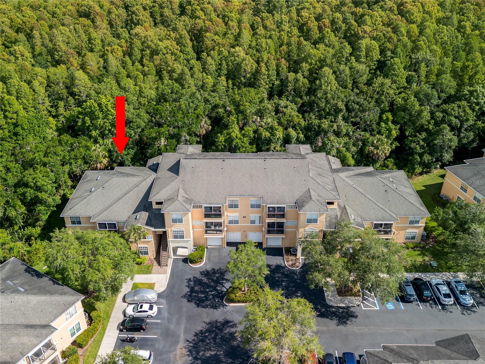 OXFORD PLACE AT TAMPA PALMS A - Residential