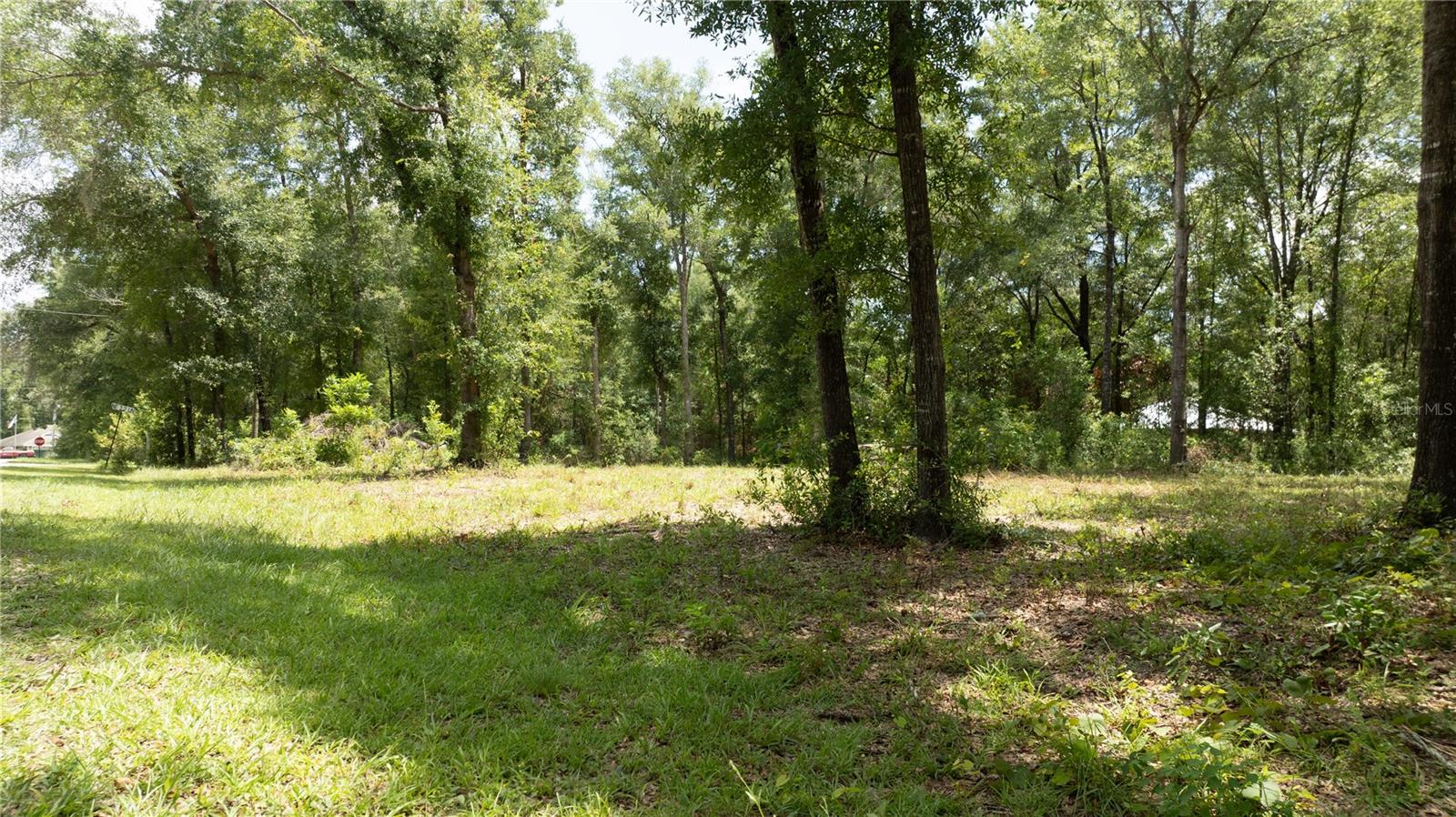 WILLISTON HYLNDS GOLF & C CLUB ESTATE - Land