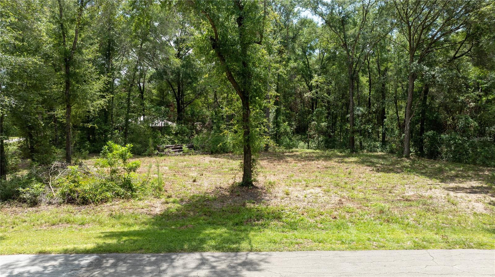 WILLISTON HYLNDS GOLF & C CLUB ESTATE - Land