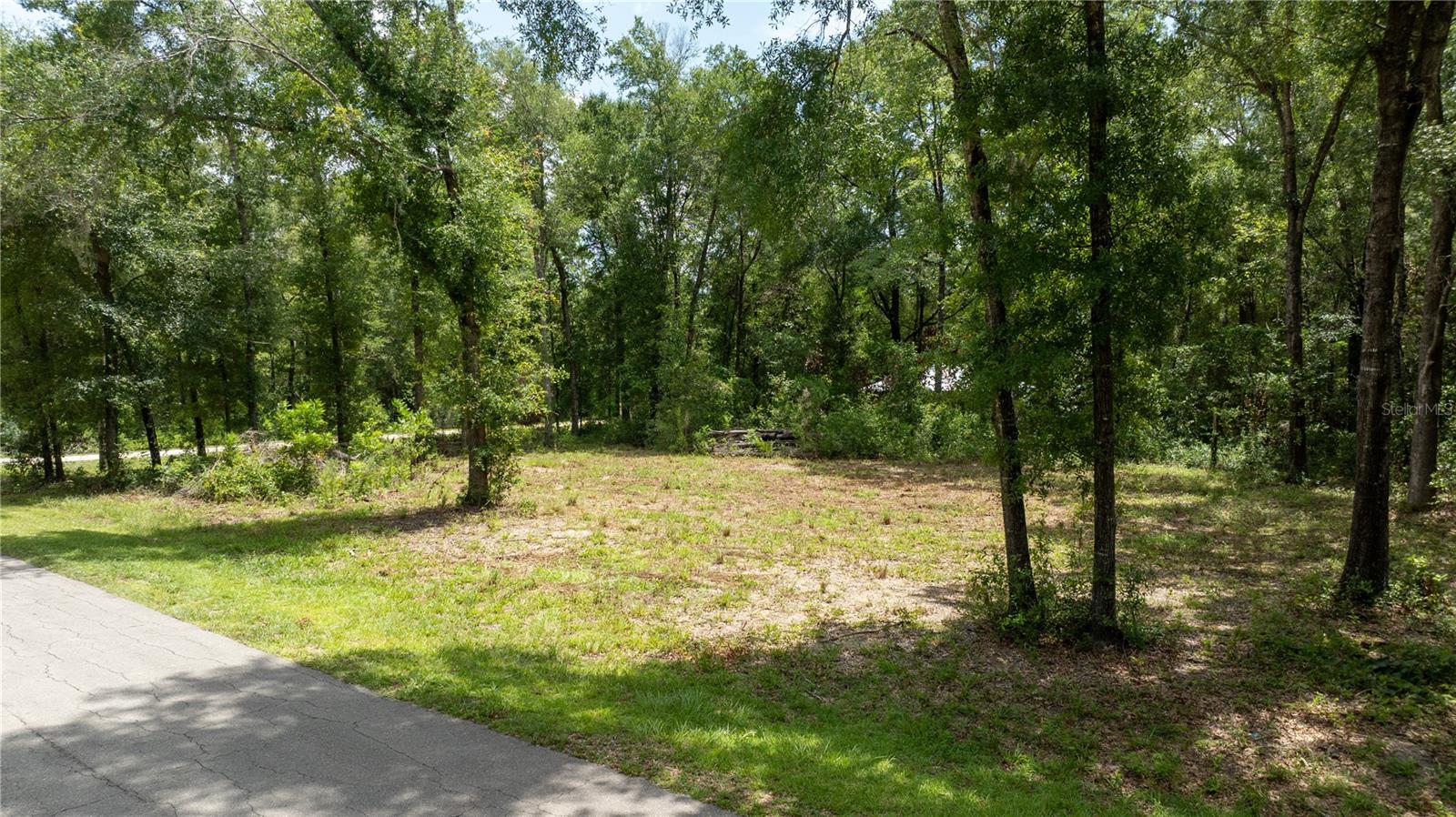 WILLISTON HYLNDS GOLF & C CLUB ESTATE - Land