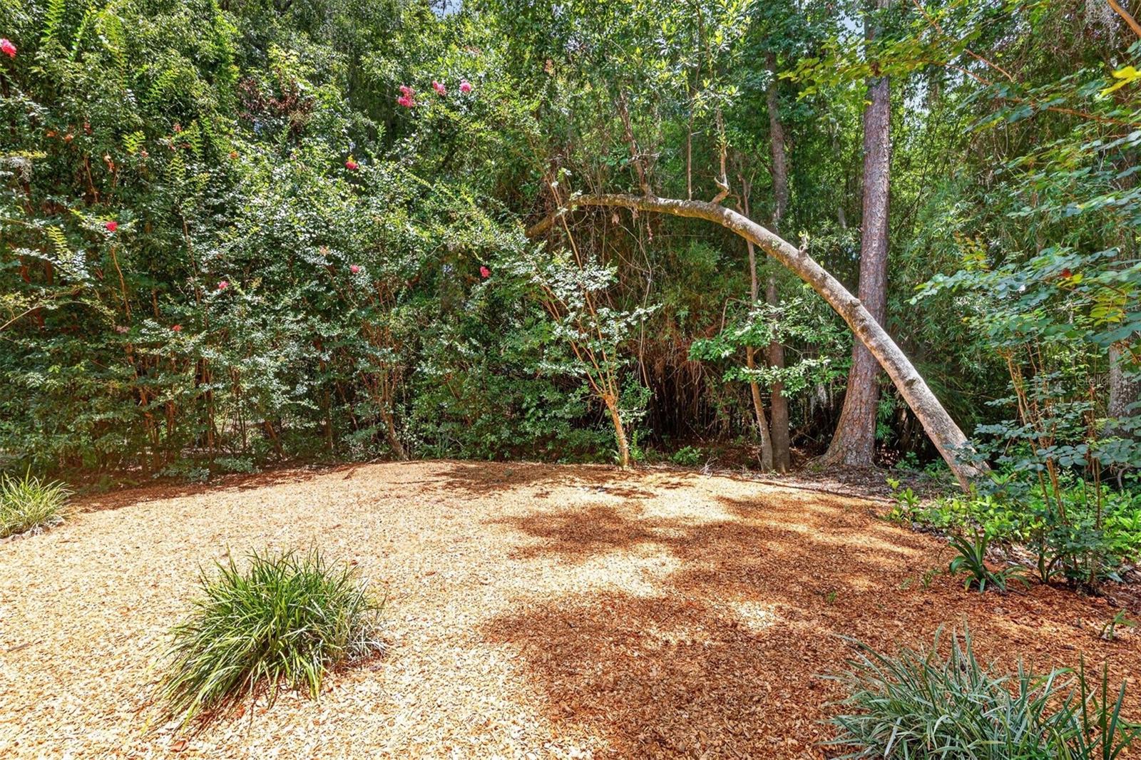 TURKEY CREEK FOREST UNIT 1 REP - Residential