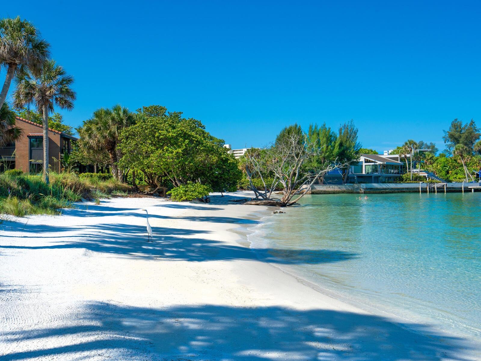 $10,000 Price Reduction!   Introducing a charming one-bedroom, one-bathroom condo in the heart of Siesta Key, where Old Florida charm meets modern coastal living. This elevated second-floor unit offers a bright, inviting living space set within a secluded, tropical oasis designed by the renowned Frank Folsm Smith of the Sarasota School of Architecture. Enjoy peace of mind with no history of storm damage in this elevated location, and savor private access to a community beach and fishing pier just steps away. From the private beach, you can watch dolphins play in the Gulf as you unwind to sea breezes and tranquil sunsets.

This distinctive enclave blends architectural pedigree with lush, mature landscaping and a resort-like atmosphere, providing a rare combination of privacy and coastal convenience. The property is perfectly positioned within easy reach of Siesta Key Village, where you’ll find a vibrant mix of restaurants, live music, and boutique shopping. Whether you’re seeking a full-time residence or a carefree vacation getaway, this condo offers a low-maintenance lifestyle without sacrificing character or location.

Why you’ll love it: a compact, stylish retreat with direct beach access, private coastal views, and proximity to village amenities all in one package. It’s an excellent option for year-round living or a tropical getaway, combining unique architecture, serene grounds, and a distinctive Siesta Key experience. Schedule a private tour to experience this exceptional property firsthand.