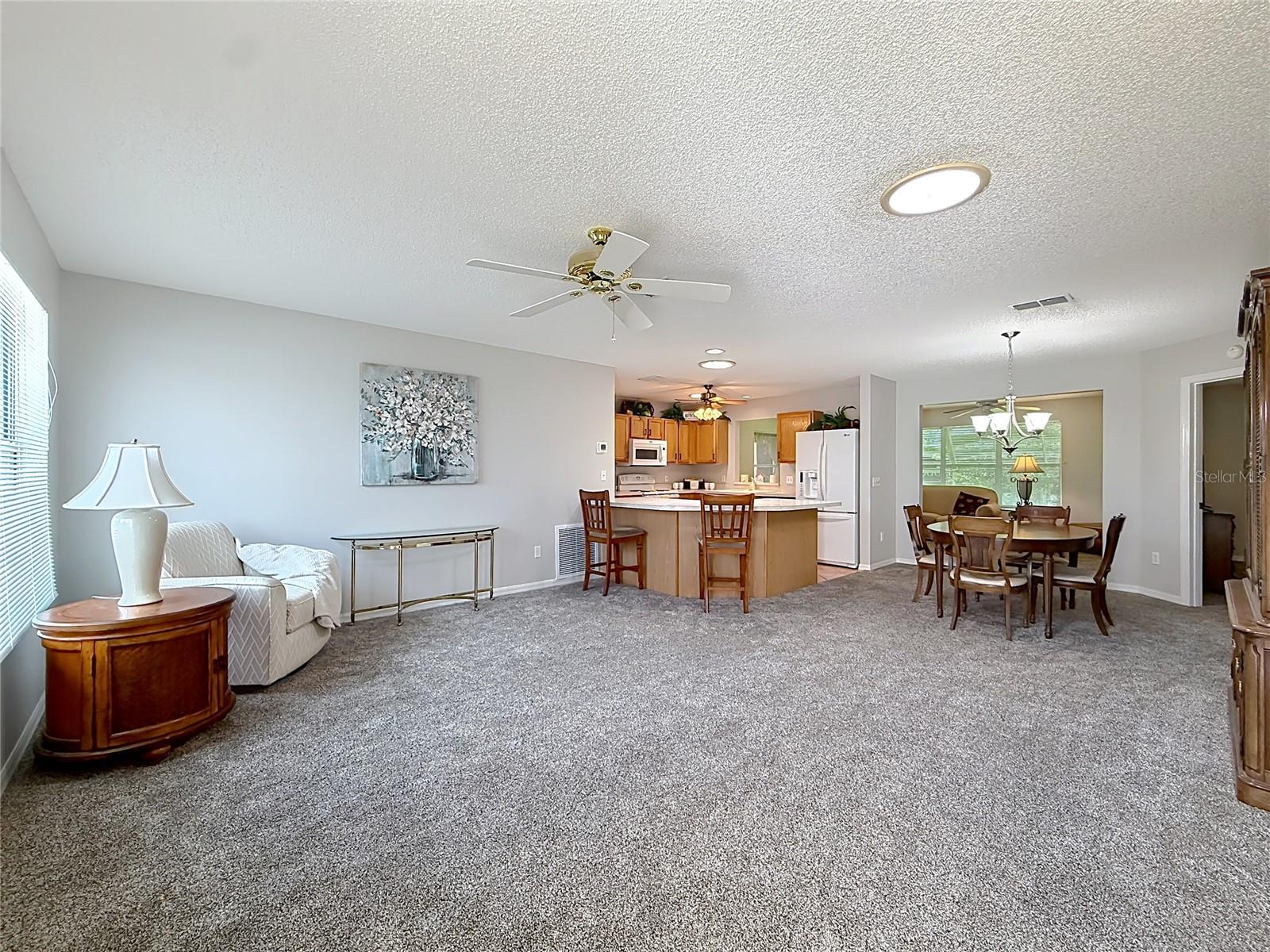 VILLAGES OF SUMTER - Residential
