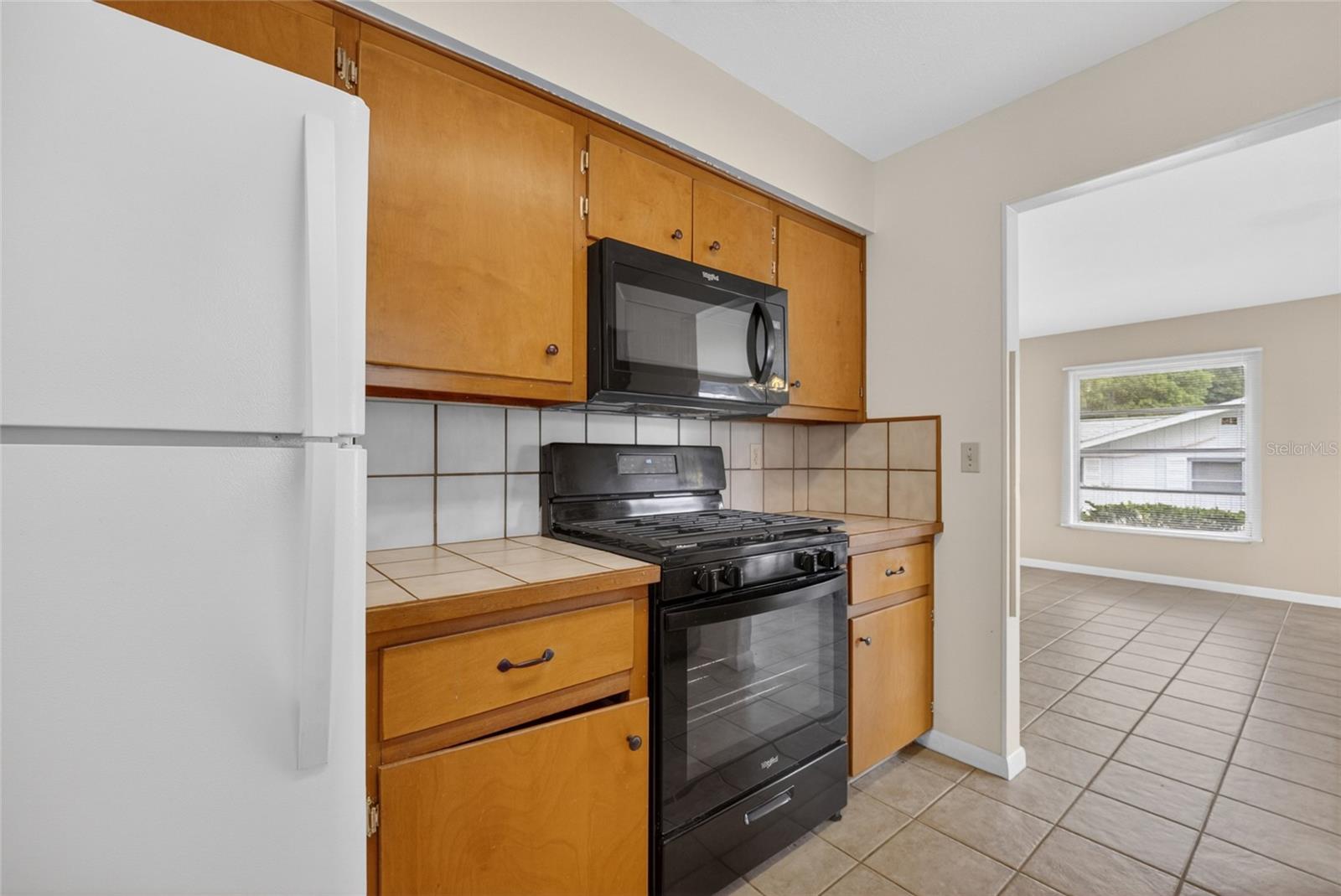 SILVER SPGS SHORES - Residential