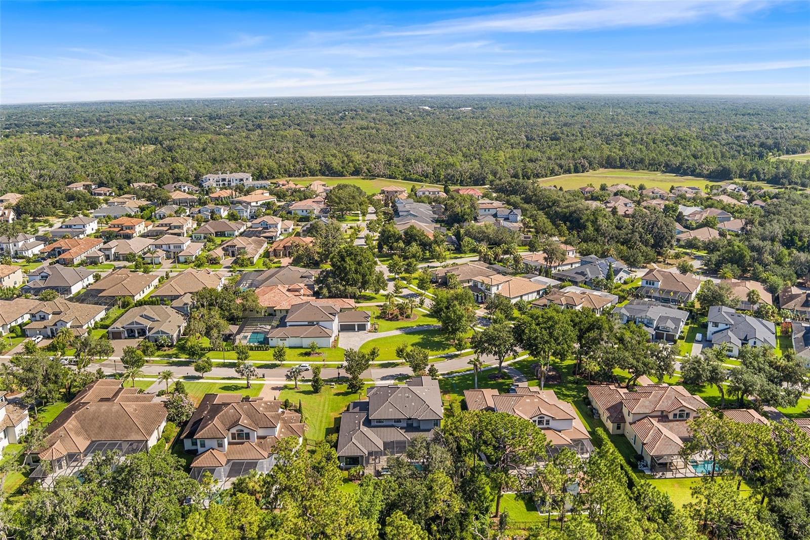 PRESERVE AT FISHHAWK RANCH PHA - Residential