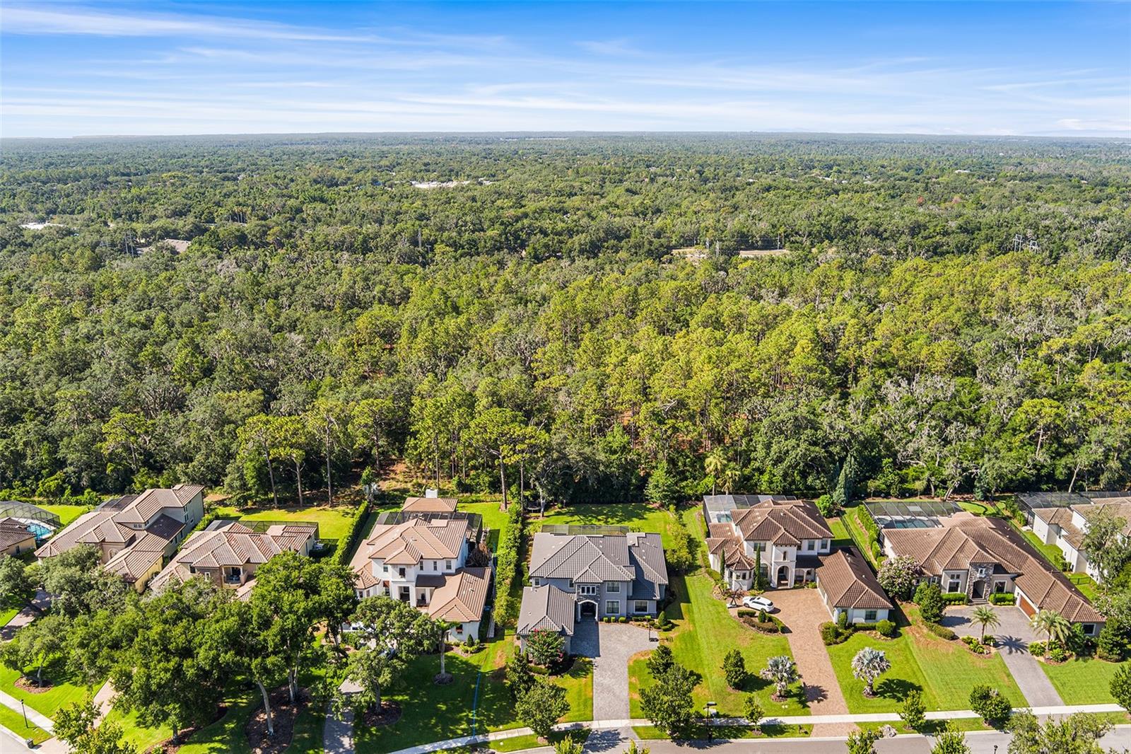 PRESERVE AT FISHHAWK RANCH PHA - Residential