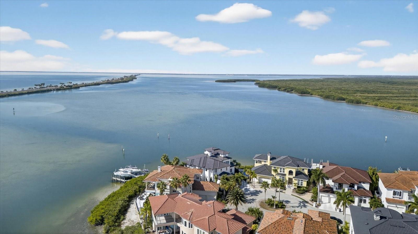THE RESERVE OF OLD TAMPA BAY - Residential