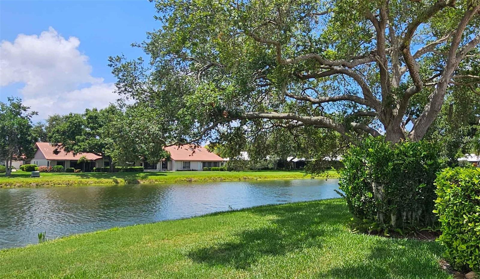 LAKESHORE VILLAGE - Residential