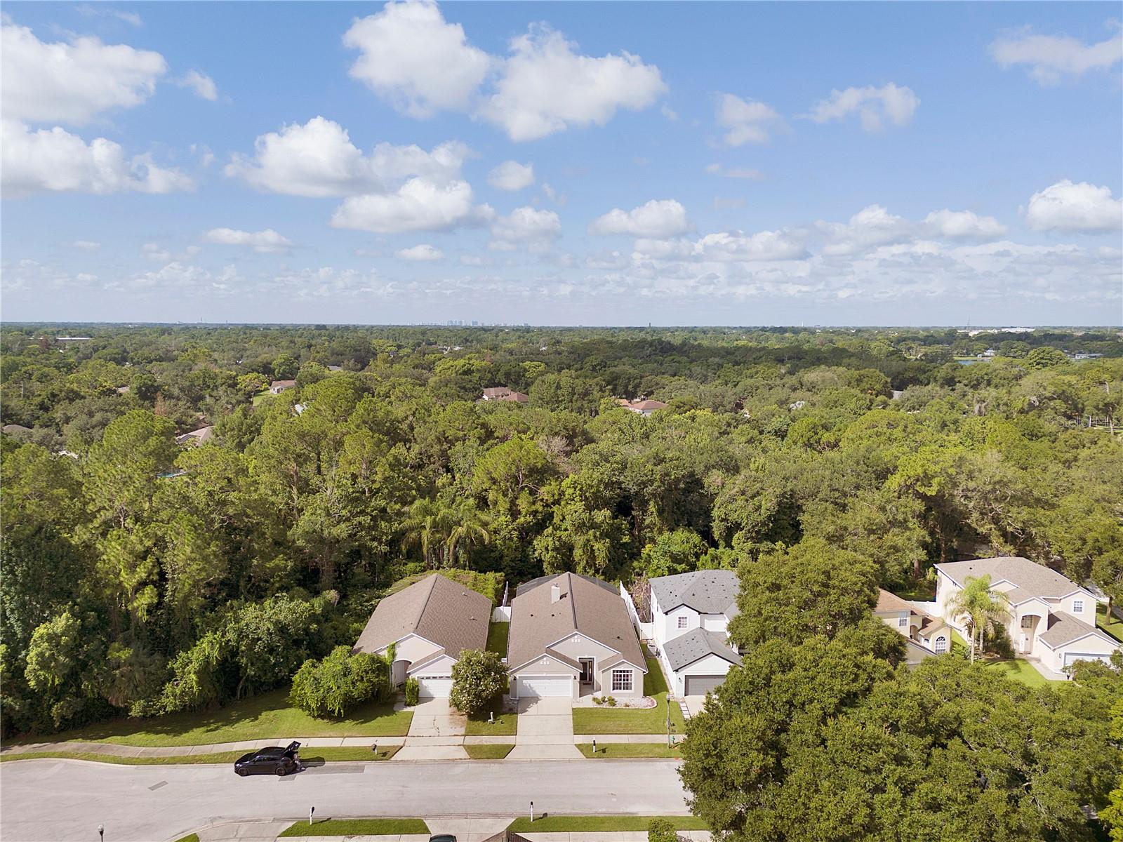LOST LAKE ESTATES - Residential