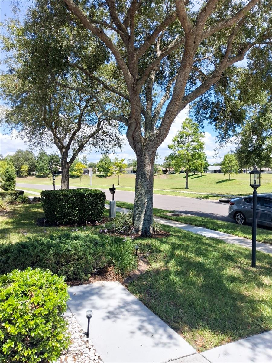 HERITAGE PINES VILLAGE 30 - Residential