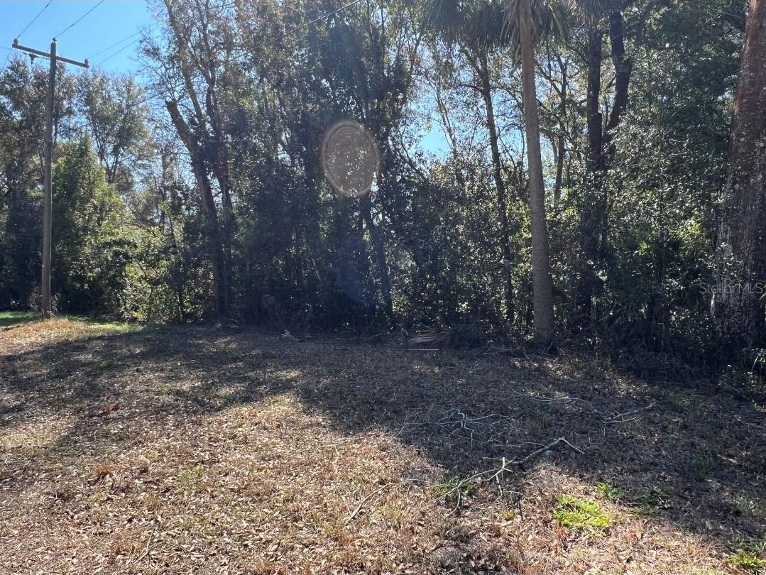 Motivated seller...Rare vacant lot, almost 2 acres in Masarkytown. Located close to shopping, medical, dining but still has that country feel.
No deed restrictions, no hoa, no cdd. Enjoy nature, have a buffer from the outside world or design your dream yard. Build your dream and enjoy your slice of heaven.