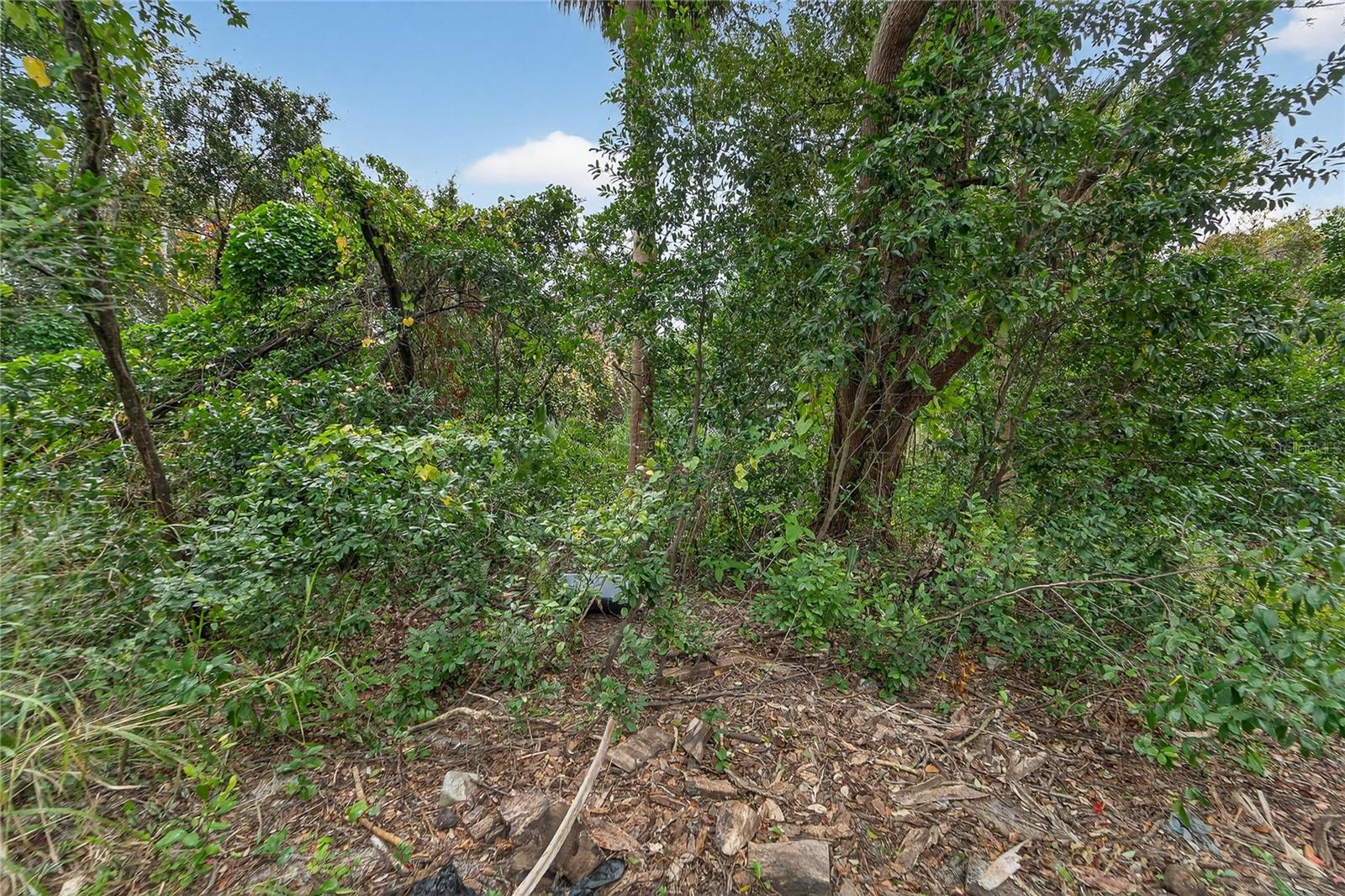 BRAE BURN PARK ESTATES - Land