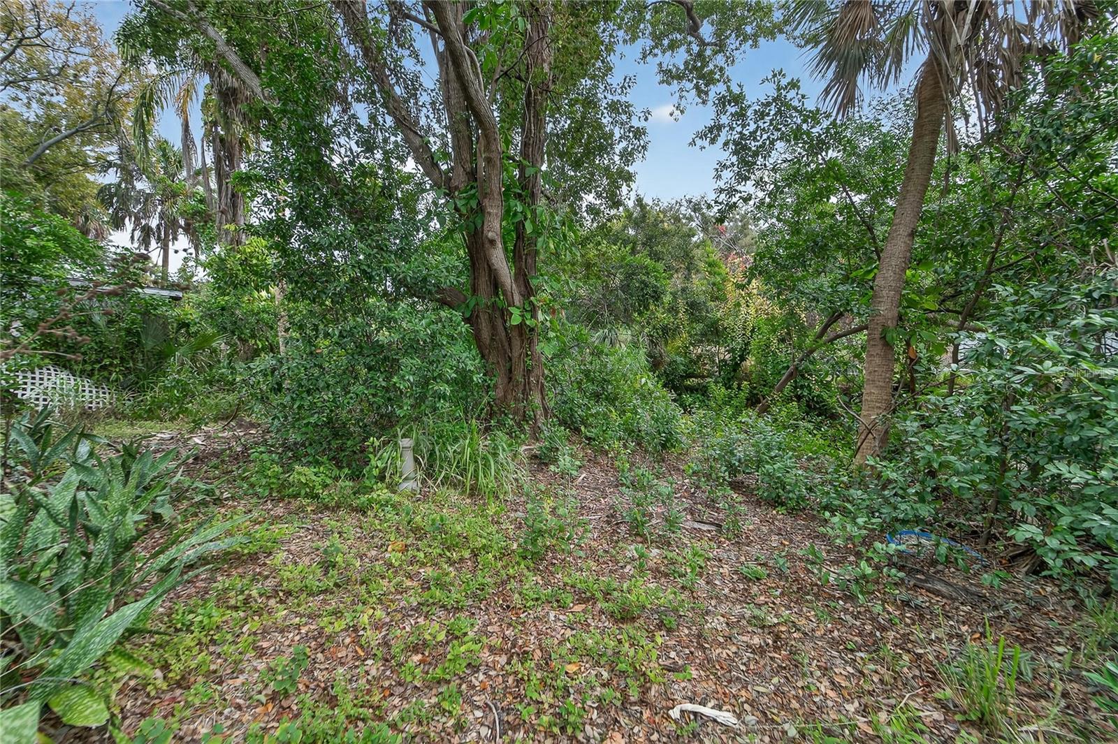 BRAE BURN PARK ESTATES - Land