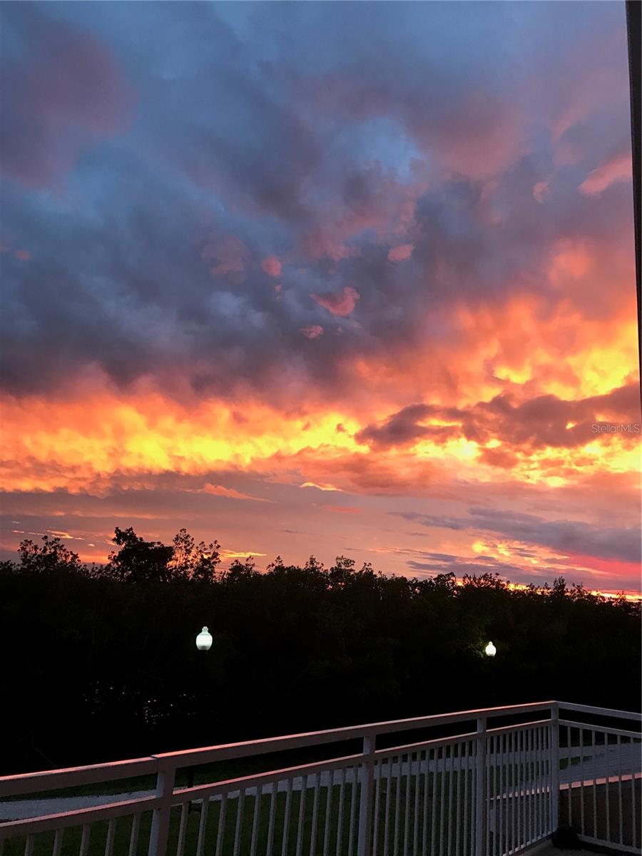 SEMINOLE ISLE CONDO - Residential