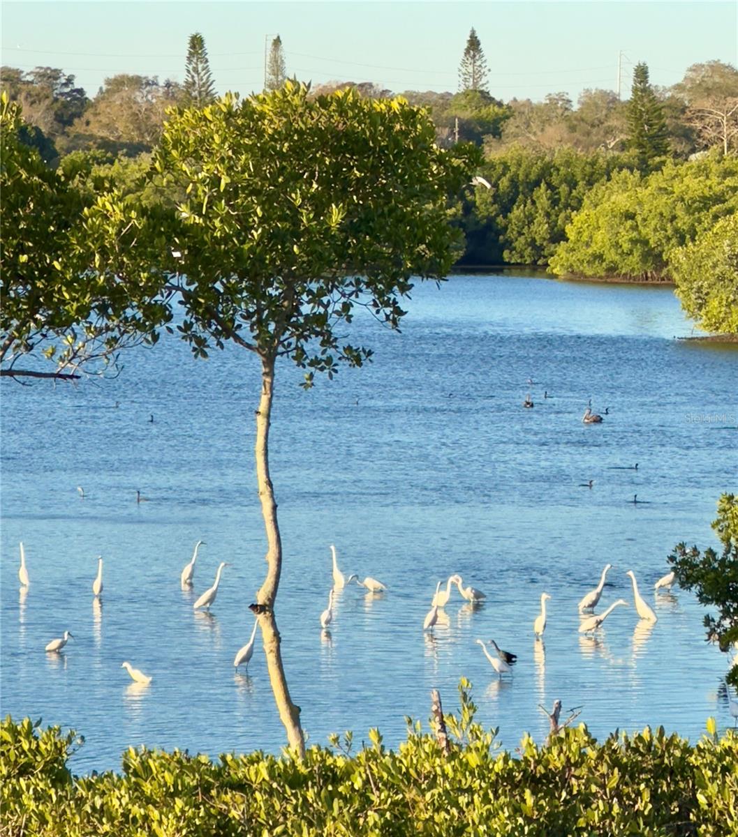 SEMINOLE ISLE CONDO - Residential