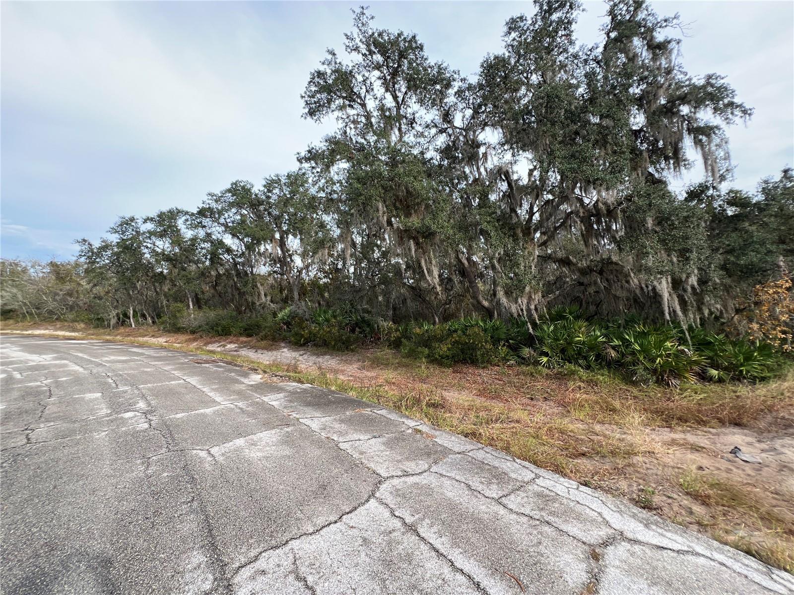 Vacant lot in beautiful Poinciana! This is a great opportunity to build your dream home in a growing community or secure a solid investment property for the future. Conveniently located just minutes away from shopping centers, schools, and hospitals. Don’t miss out on this prime lot in a rapidly developing area!