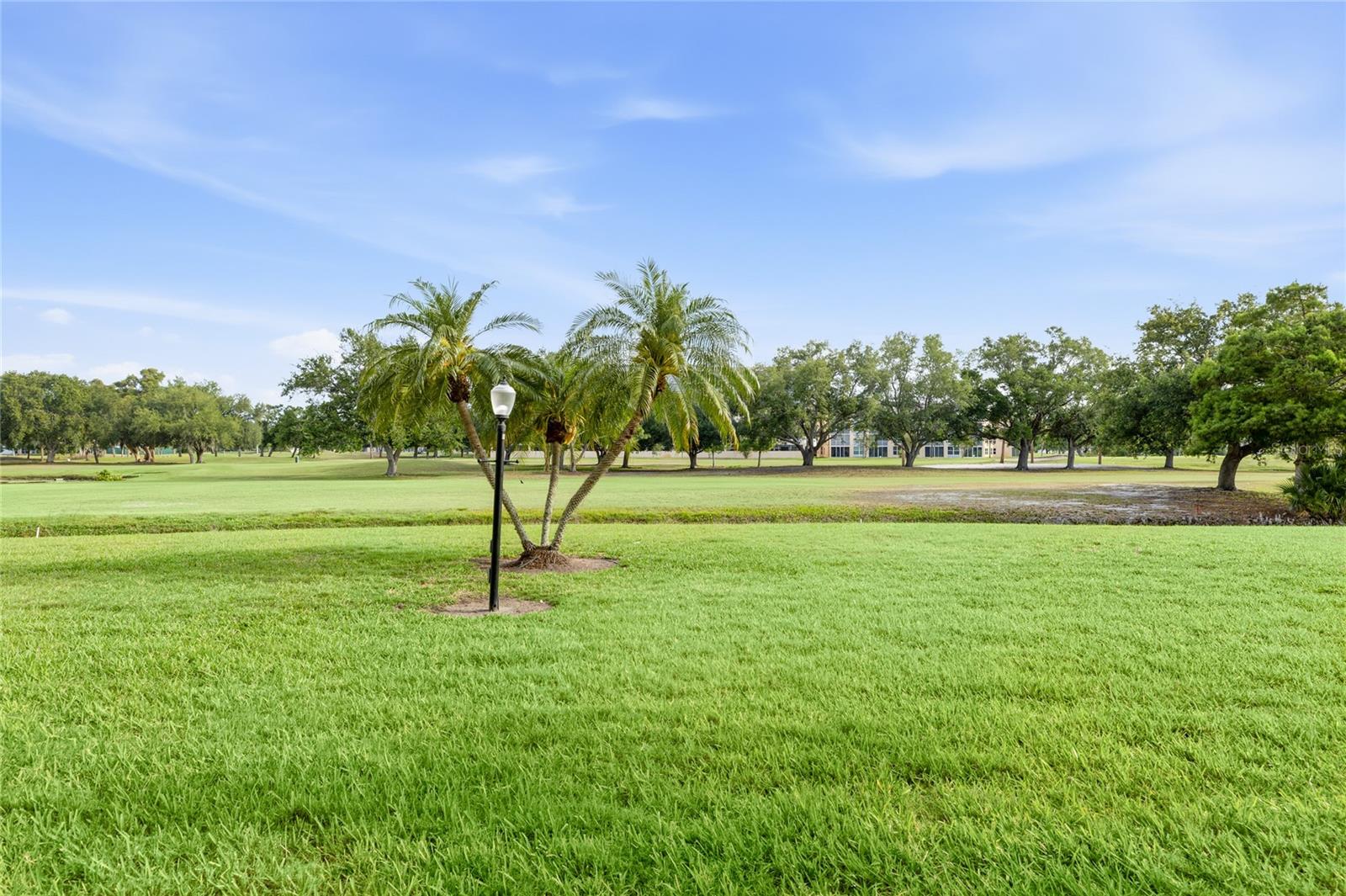THE GREENS AT PINEBROOK - Residential