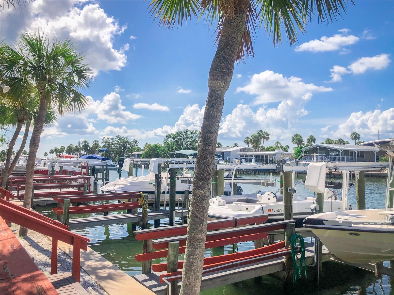REGENCY COVE A COOPERATIVE - Residential