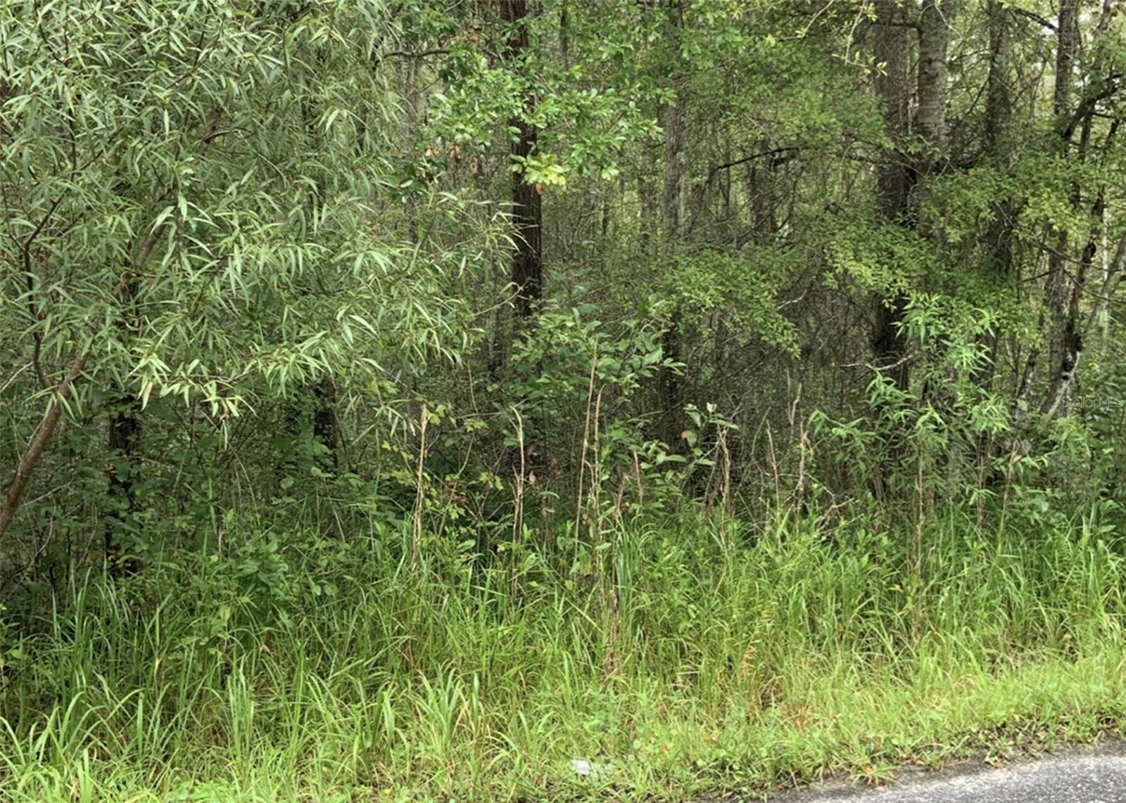 WITH YOUR FULL PRICE OFFER, RECEIVE $10,000 TOWARDS MITIGATION COSTS! 
You will not find nearly 8 acres of land in Alachua to build the home of your dreams! You can own property where Florida’s natural wetlands become a serene extension of your own backyard—introducing you to the land the moment you arrive. This beautiful parcel is surrounded by other acreage homes and offers 6 acres of high-and-dry, agriculturally zoned land, providing ample space to build your custom home along with additional structures. Much of the groundwork has already been completed for you. The seller commissioned a Wetland Delineation Report by a licensed engineer, giving you clear options and detailed insight into the approximately 2 acres of wetlands on the property—allowing you to plan with confidence. The lot is serviced by Clay Electric for power and GRU for water. With only a limited number of residential/agricultural acreage parcels remaining in the area, and priced below current market value, this is an exceptional opportunity you won’t want to miss.