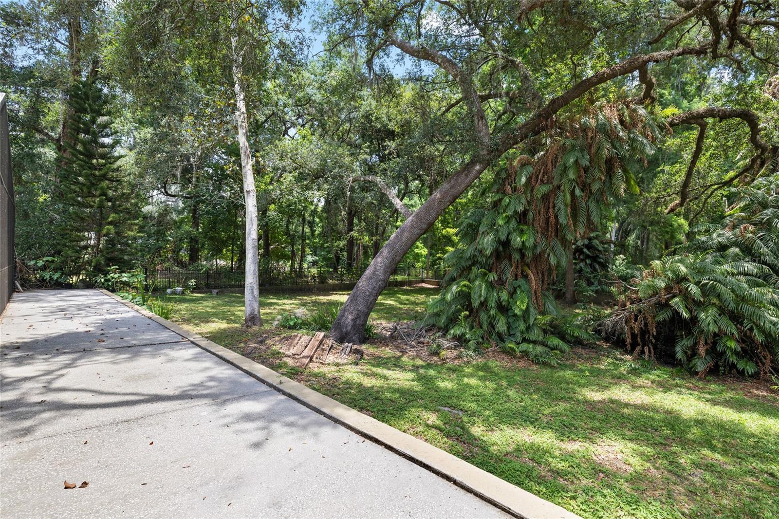 UNPLATTED - Residential