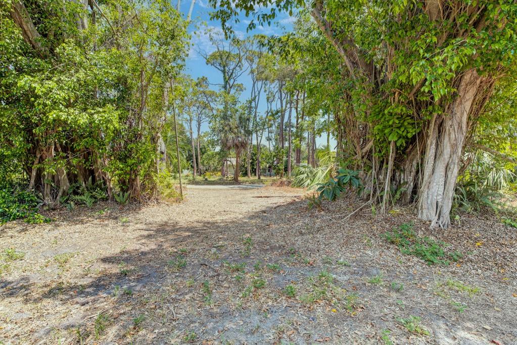 PINE BAY FOREST - Residential