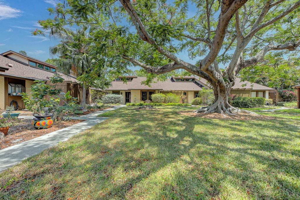 PINE BAY FOREST - Residential