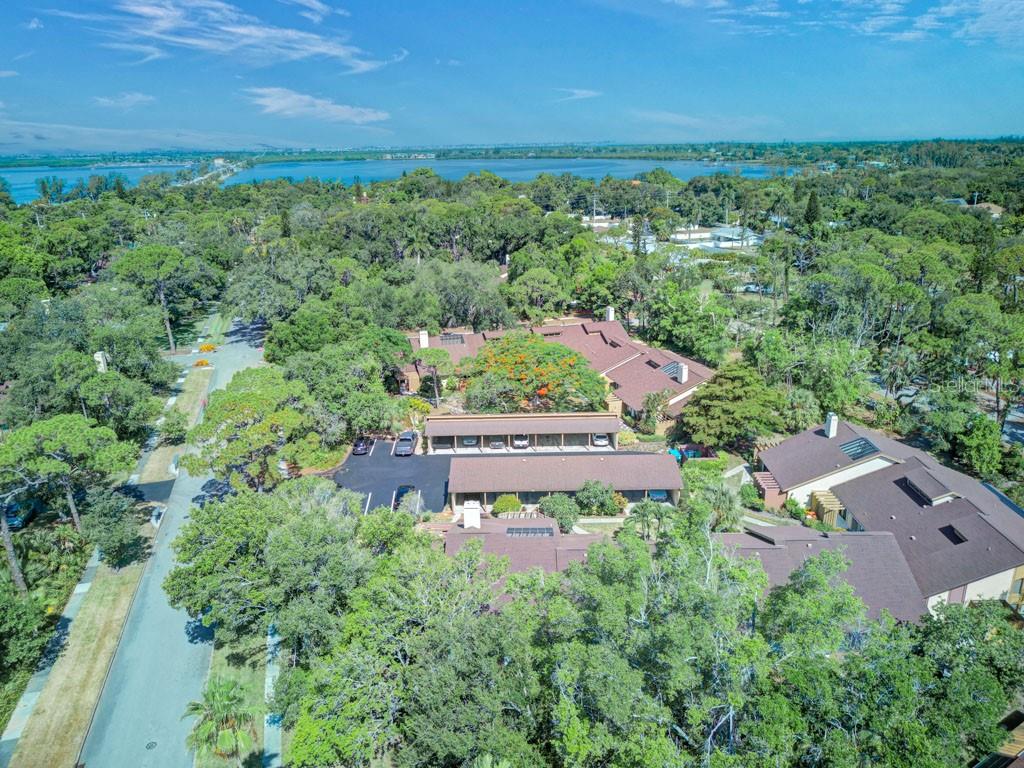 PINE BAY FOREST - Residential