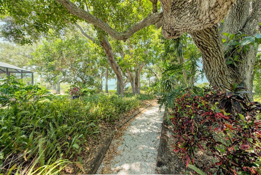 PINE BAY FOREST - Residential