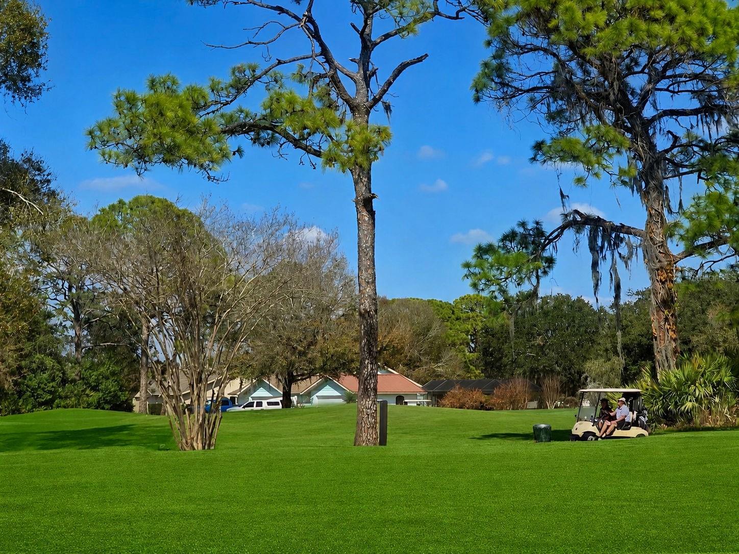 GOLF HAMMOCK - Residential