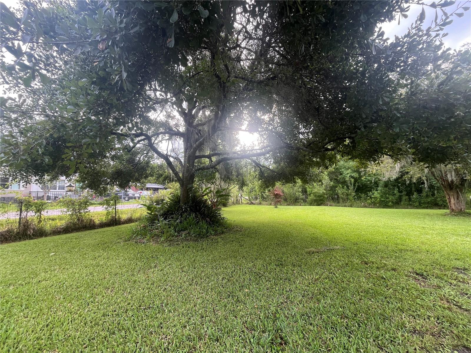 ACREAGE - Residential