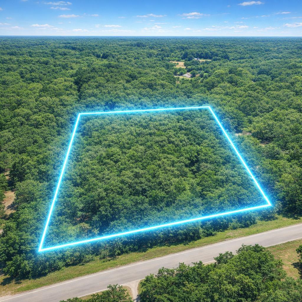Wow! Just aggressively Reduced for a fast sale! Come drive by this 6+ acres just outside (west) of Ft McCoy directly on CR 316. This large parcel has a lot of potential. Zoned A1, so you can have a Residential farm, Site built home, New manufactured, or more. No HOA or restrictions. The best buildable part is in the back NE side. The NW side has flood zone A where there is some surface water (great for wildlife), but build on X where its high and dry. Plenty of deer and wildlife for the outdoor enthusiast. This listing is priced well below market value, so come drive by and see the possibilities! If you go there, the sign is about in the middle of the parcel. Walk onto the property on the East side first.
For GPS: 29°21'48.4"N  81°58'59.2"W  No owner financing, cash only for quick sale.