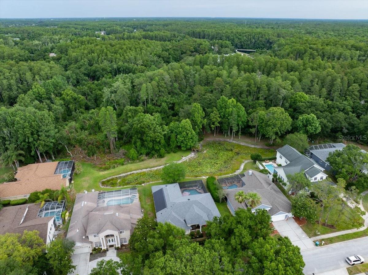 CYPRESS WOODS - Residential