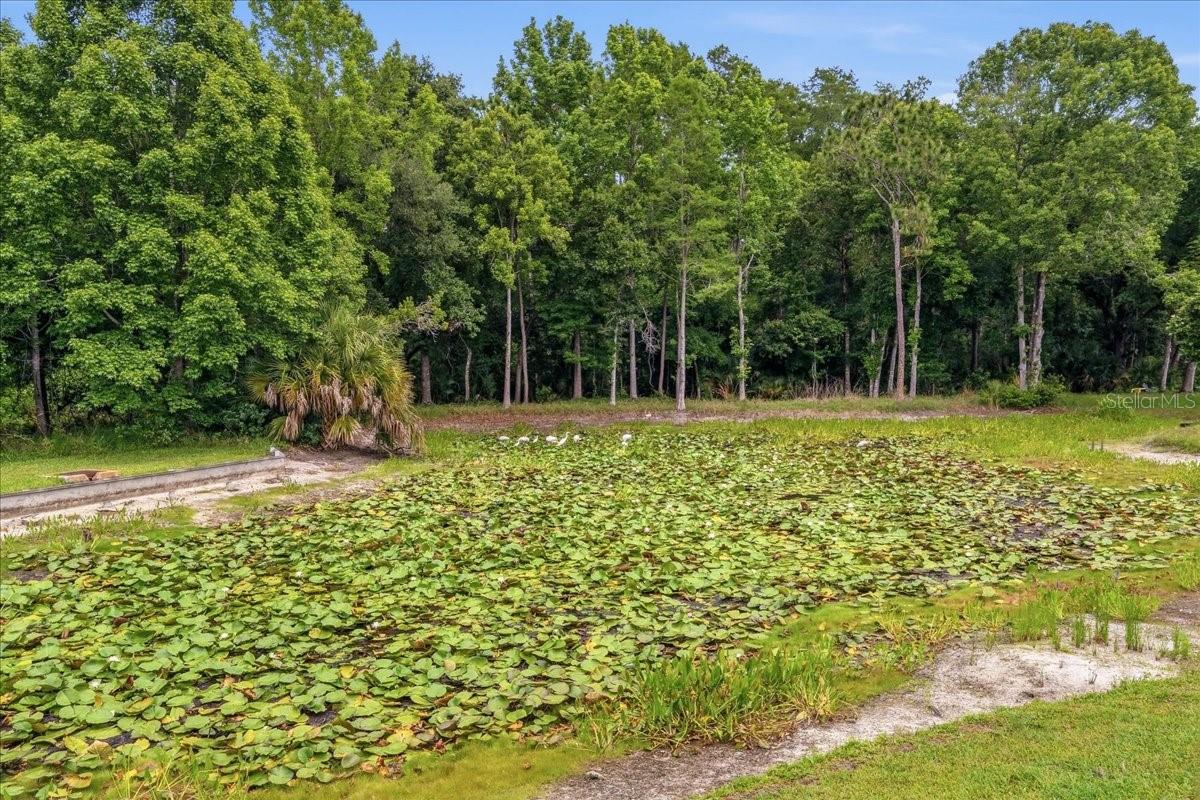 CYPRESS WOODS - Residential