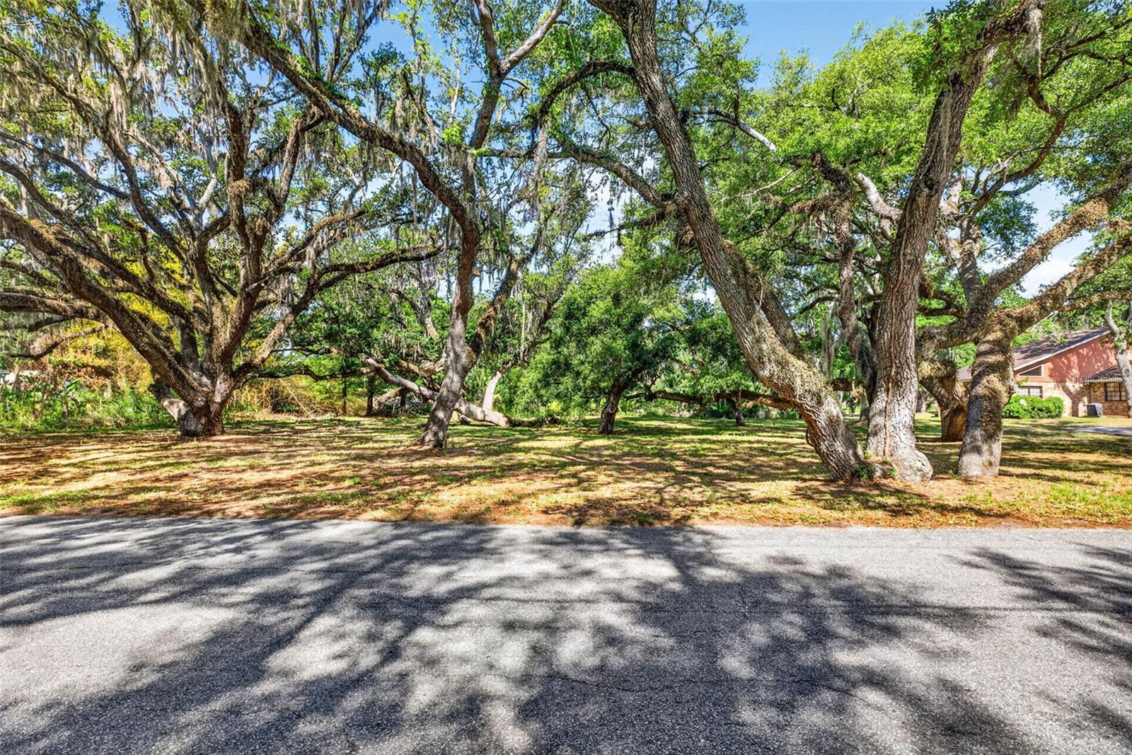 Build your dream home on this beautiful .87-acre lakefront lot nestled within the established community of Lake Bernadette. Surrounded by mature oak trees and offering peaceful water views, this property provides the perfect setting to create your own private retreat.Enjoy the best of both tranquility and community living with low HOA fees and no CDD fees—a rare find. Residents of Lake Bernadette have access to an impressive lineup of amenities, including a golf course, tennis courts, basketball courts, playground, community pools, and a clubhouse.Whether you’re envisioning a custom estate or a cozy lakefront getaway, this homesite delivers the ideal blend of natural beauty and lifestyle convenience. Cruise the neighborhood by golf cart, take in the scenic surroundings, and experience everything this sought-after community has to offer.Opportunities like this don’t come around often—secure your piece of lakefront living today.