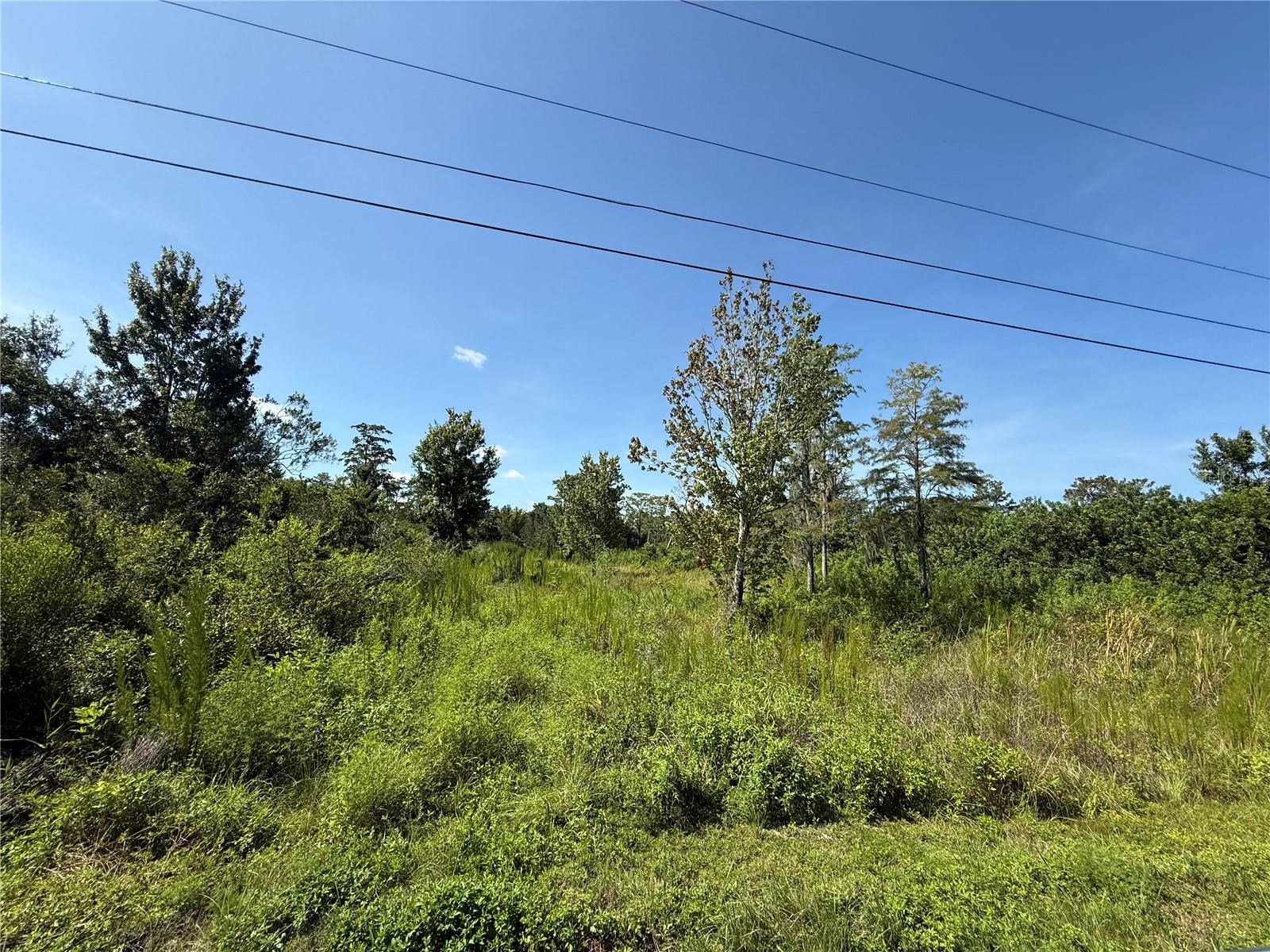 This lot offers almost a full acre of land in Subdivision Canarval Acres of St Cloud.  The community allows farm animals and no HOA so you have the freedom to have your own mini farm if you like.  There is plenty of room to roam and smell the fresh air.  It is also close to town, shopping, restaurants, ocean etc.  It's just off the main road of 192 and easy to get to your own piece of serenity.  There is a community park with basketball court, pavilion, playground, and walking path.  Buyer and or buyers agent to verify all information.