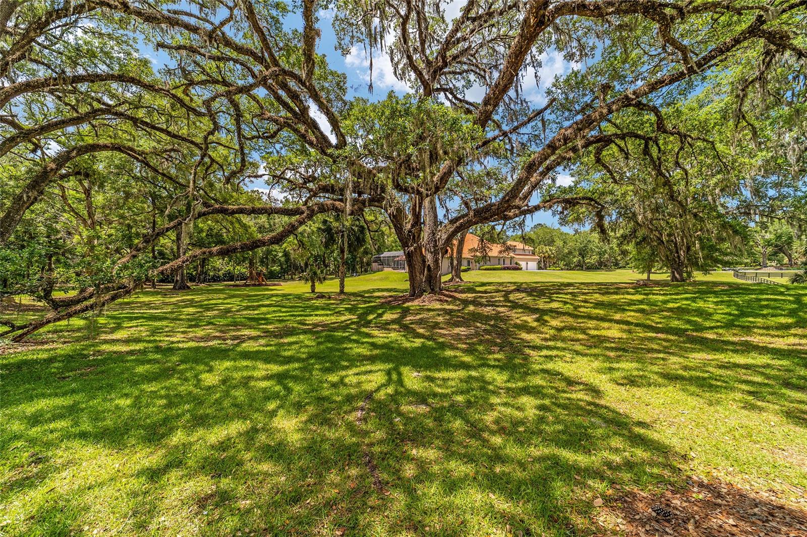 COUNTRY CLUB FARMS A HAMLET - Residential