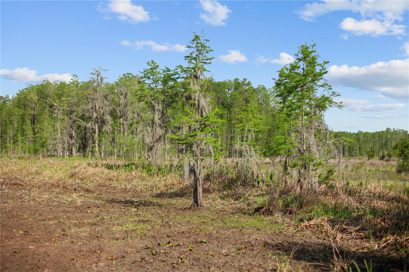 GROVELAND FARMS 15-23-24 - Residential