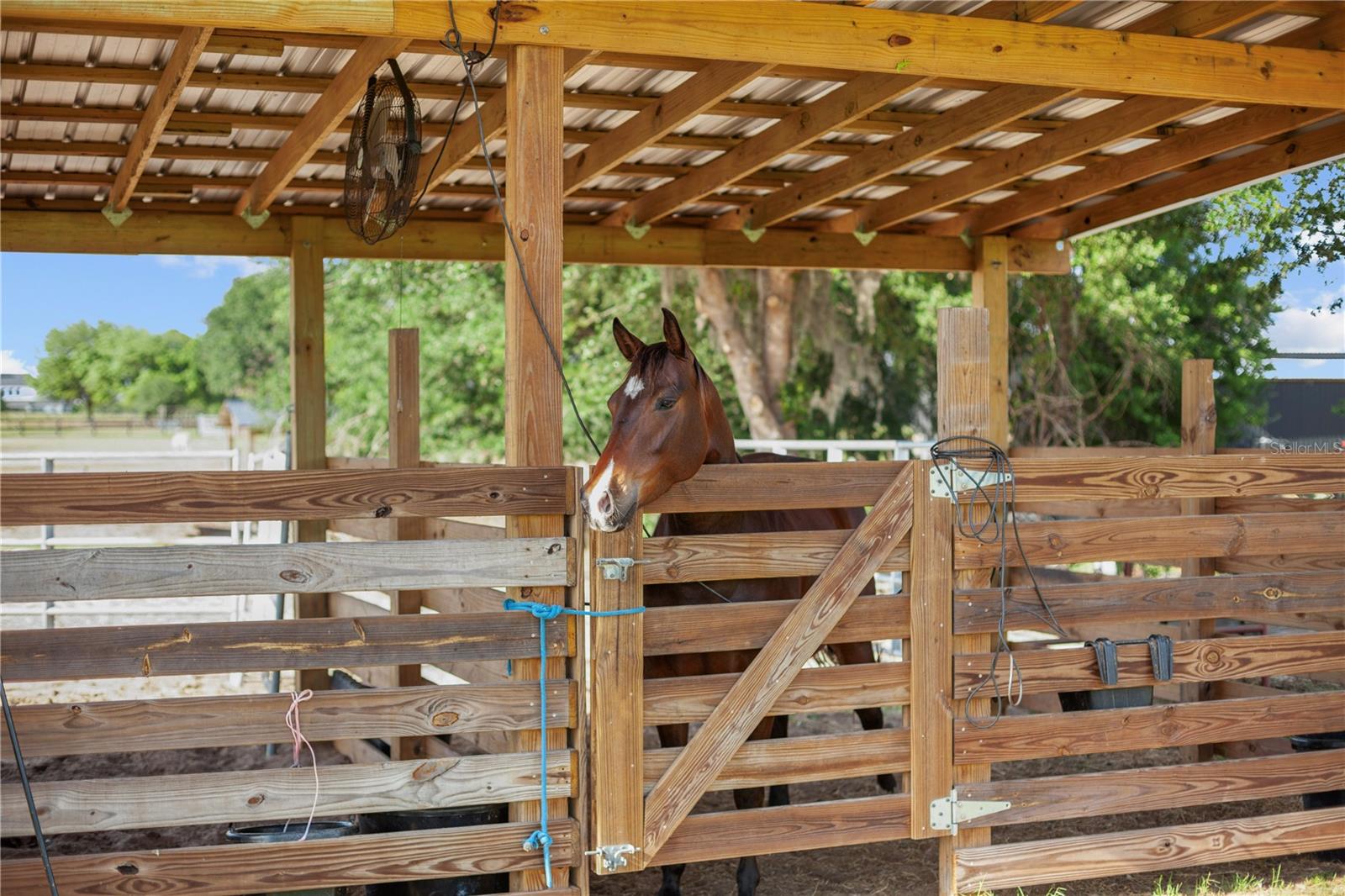 GROVELAND FARMS 15-23-24 - Residential