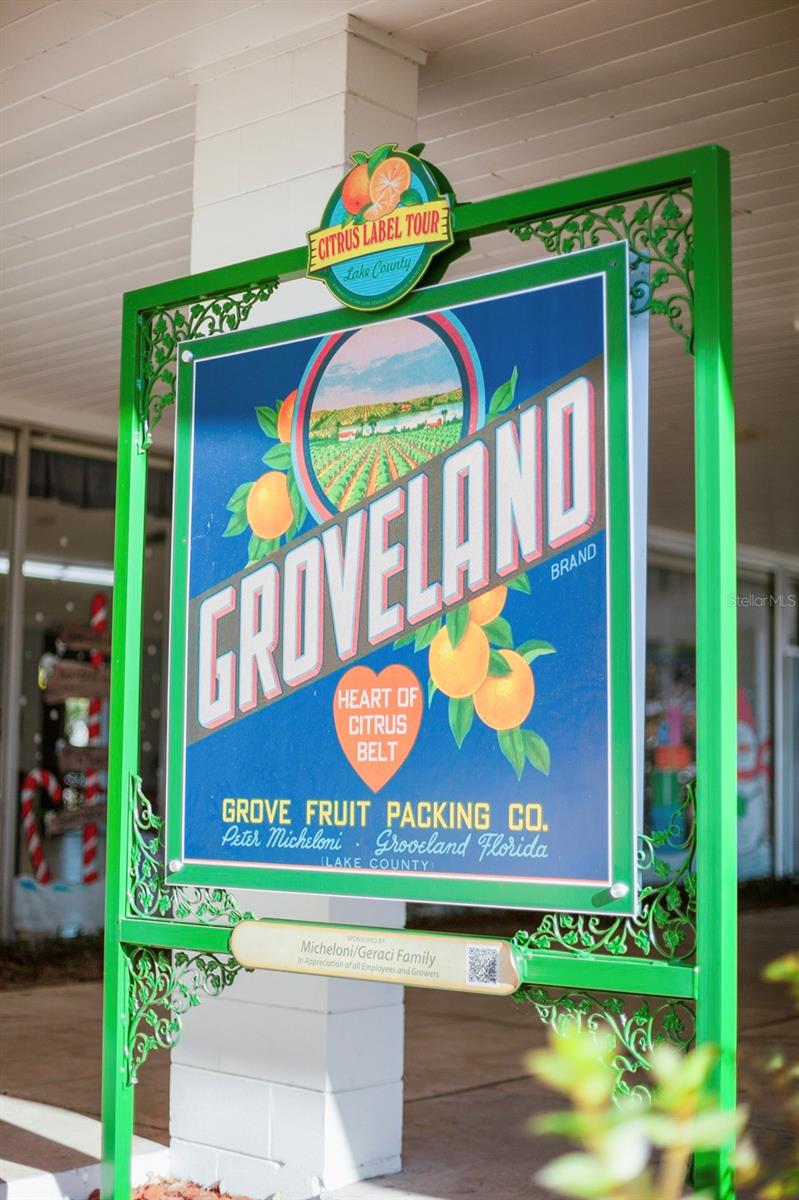 GROVELAND FARMS 15-23-24 - Residential