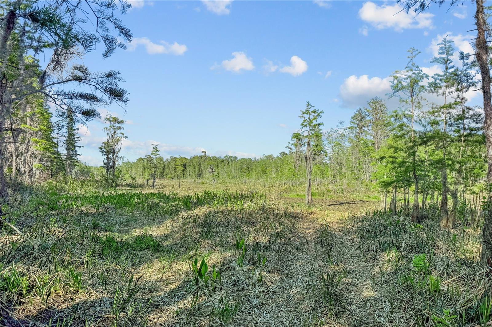 GROVELAND FARMS 15-23-24 - Residential