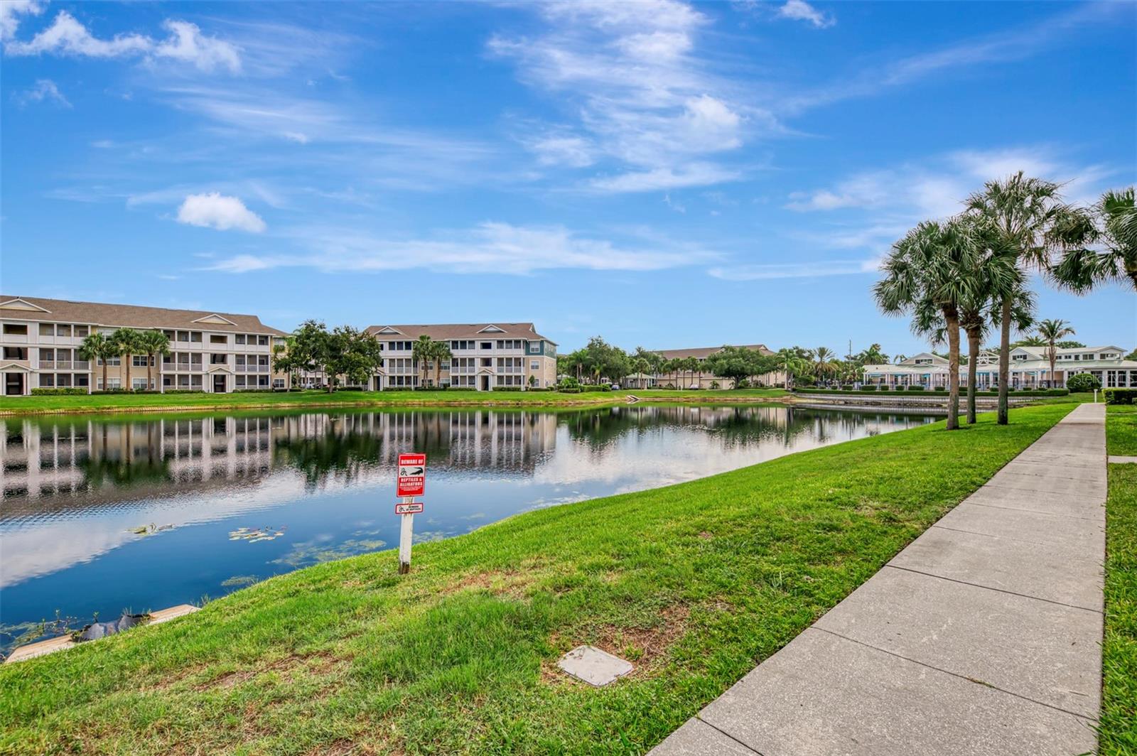 THE PALMS OF CORTEZ - Residential