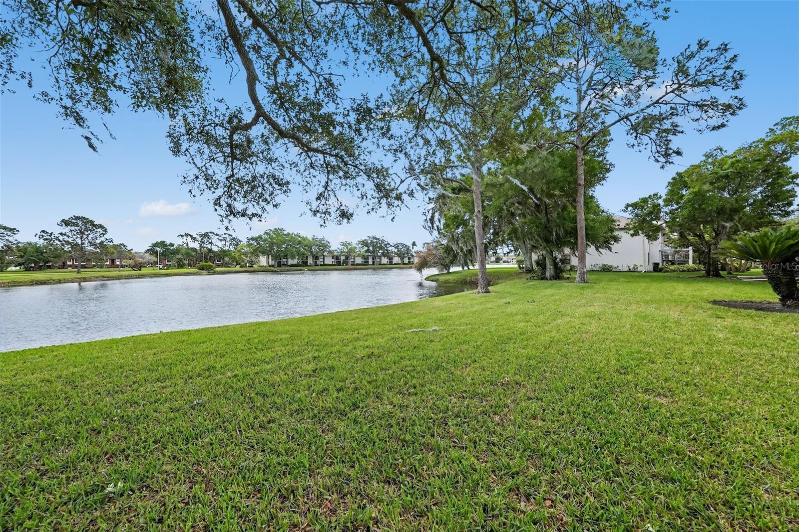 EAST LAKE WOODLANDS CONDO - Residential