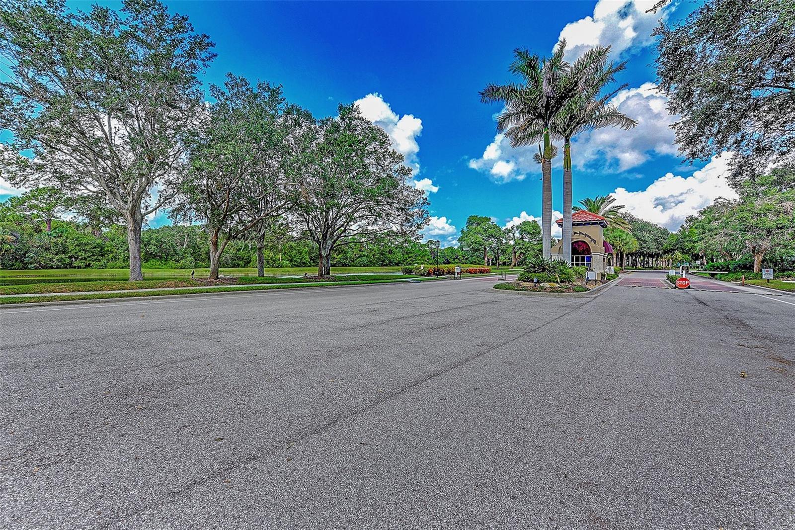 TURTLE ROCK ON PALMER RANCH - Residential